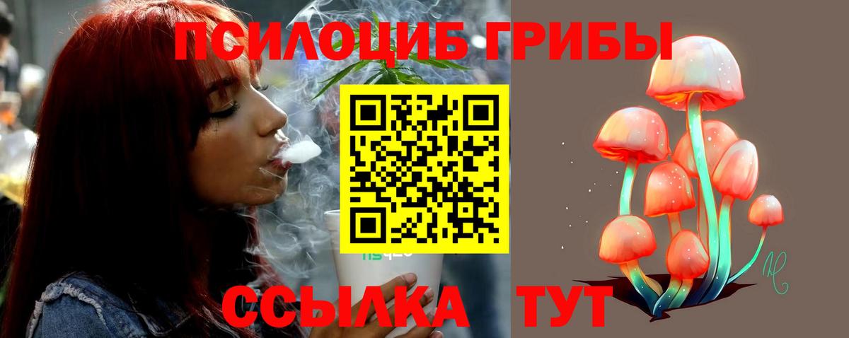 где можно купить наркотик  Псилоцибиновые грибы Psilocybe  Галлюциногенные грибы Cubensis  Вход с VPN  Жуковский 